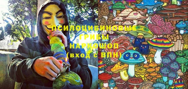 гашик Алзамай
