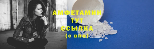 гашик Алзамай