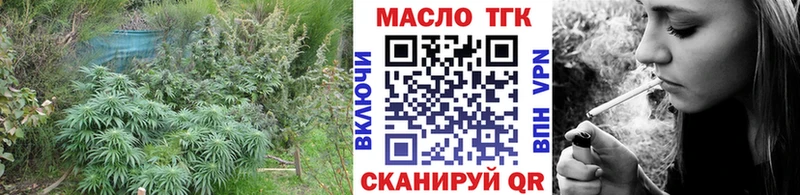 Дистиллят ТГК гашишное масло  Купить закладки  Шиханы 